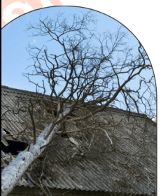 Storm Damage?! Here's What To Do In The First 24 Hours