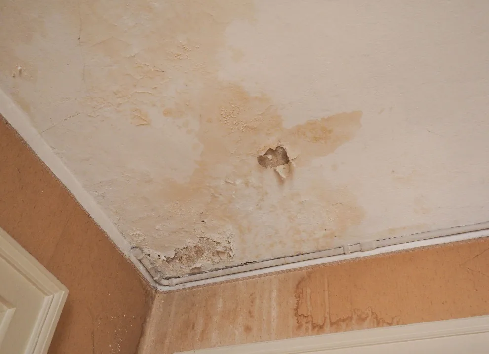 Wet spot evident in the corner of a roof