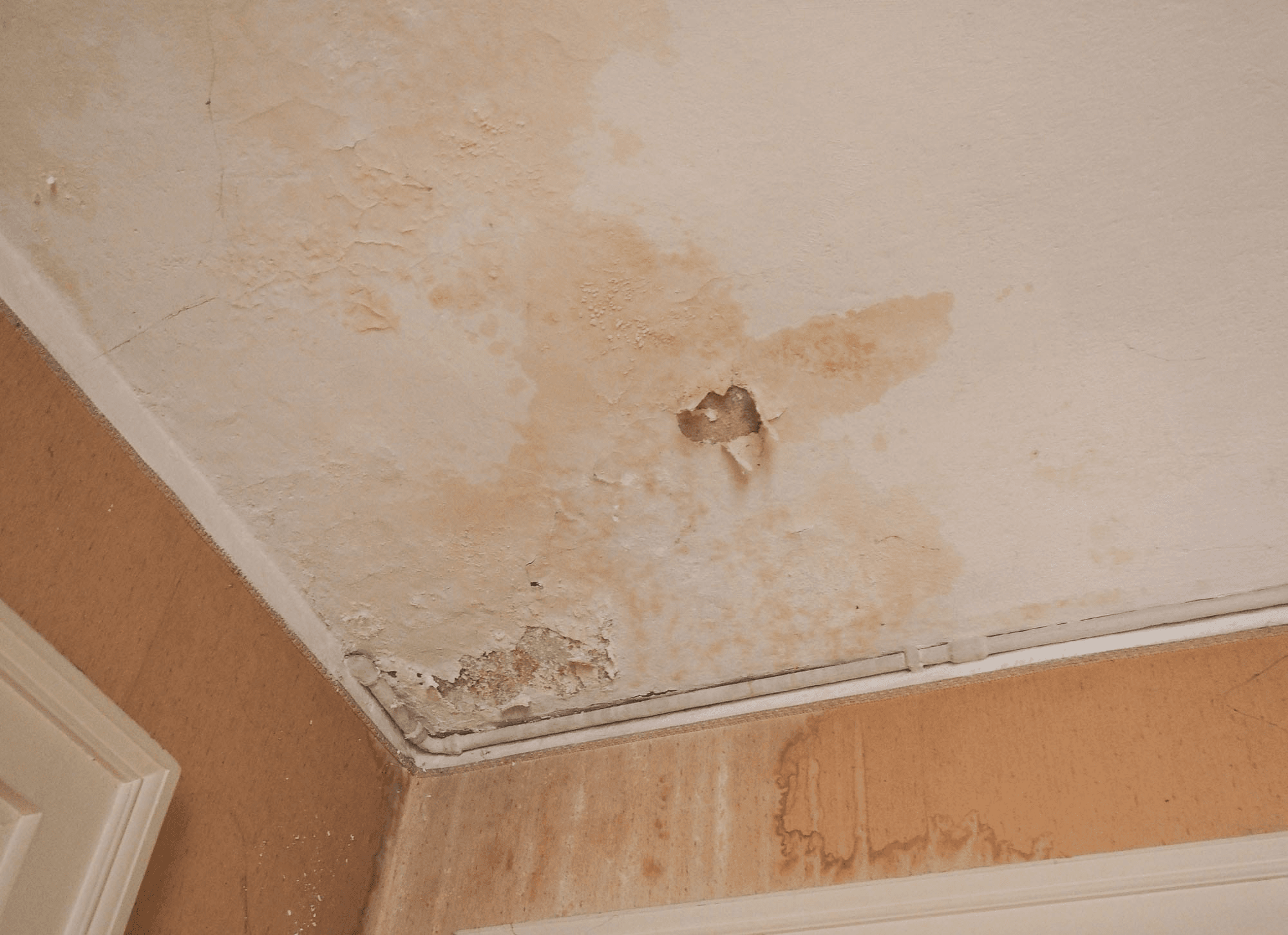 a roof that has severe moisture damage