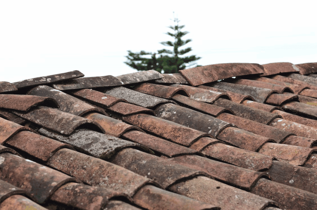 Close-up of brown asphalt shingles on a roof, some showing signs of wear or storm impact.