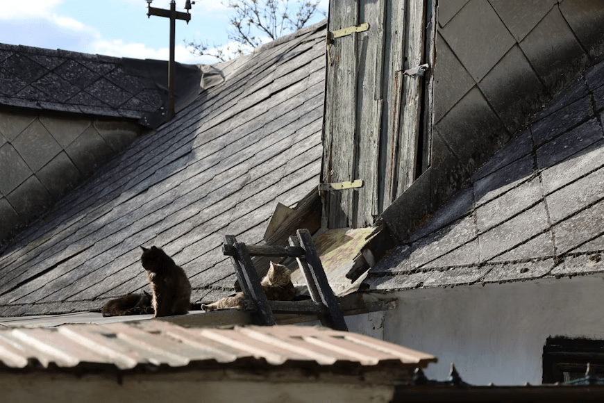 a cat sitting on top of a damaged roof