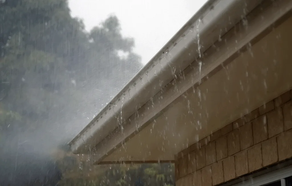 This image shows water dripping from the roof.