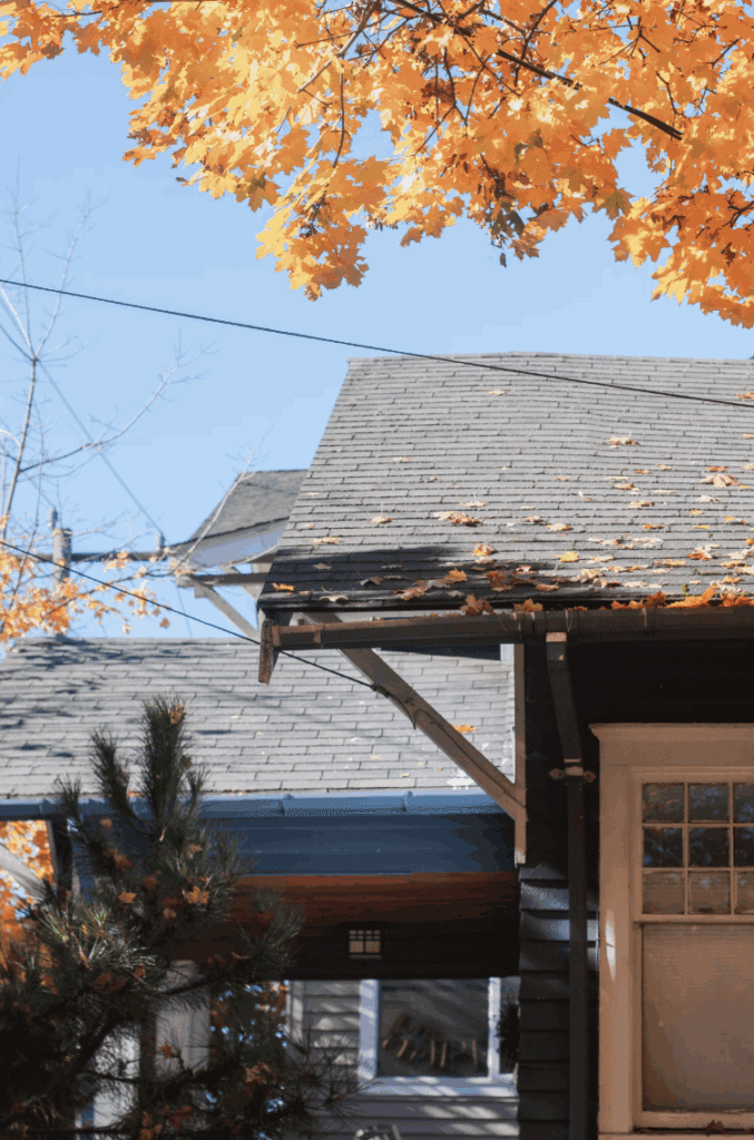 This photo shows roof surface covered with wet leaves and scattered debris after rainfall.