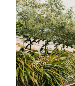 This image shows a green roof blending natural beauty with smart design.