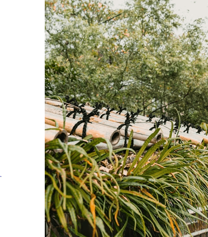 This image shows a green roof blending natural beauty with smart design.